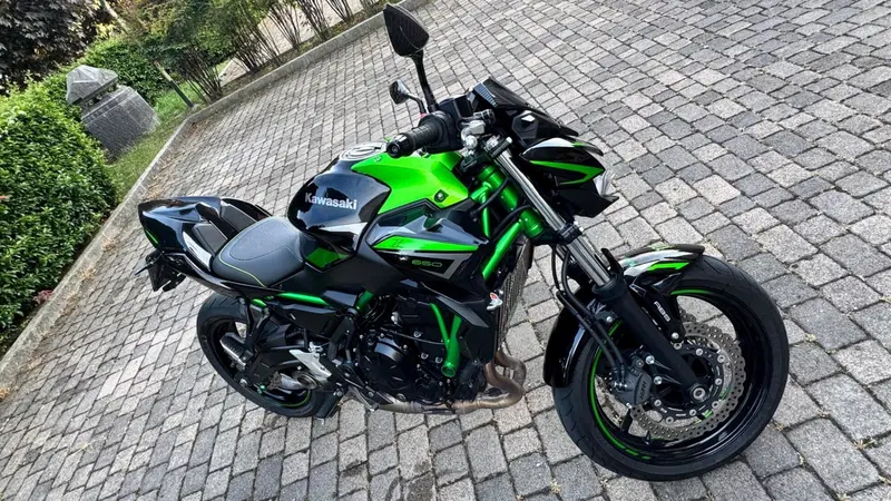 Kawasaki Z 650 Performance (2021 - 24) (14)