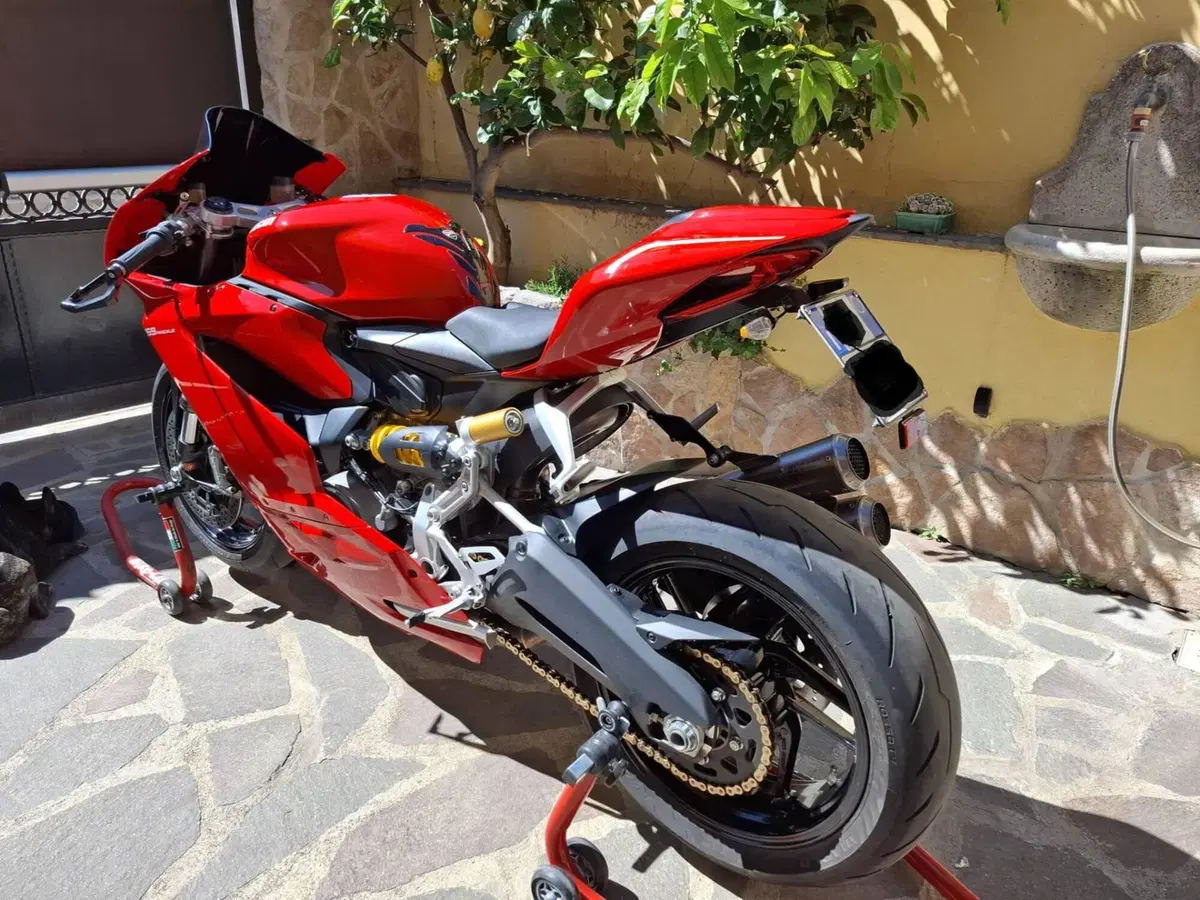 Ducati 959 Panigale Corse (2018 - 19) (6)