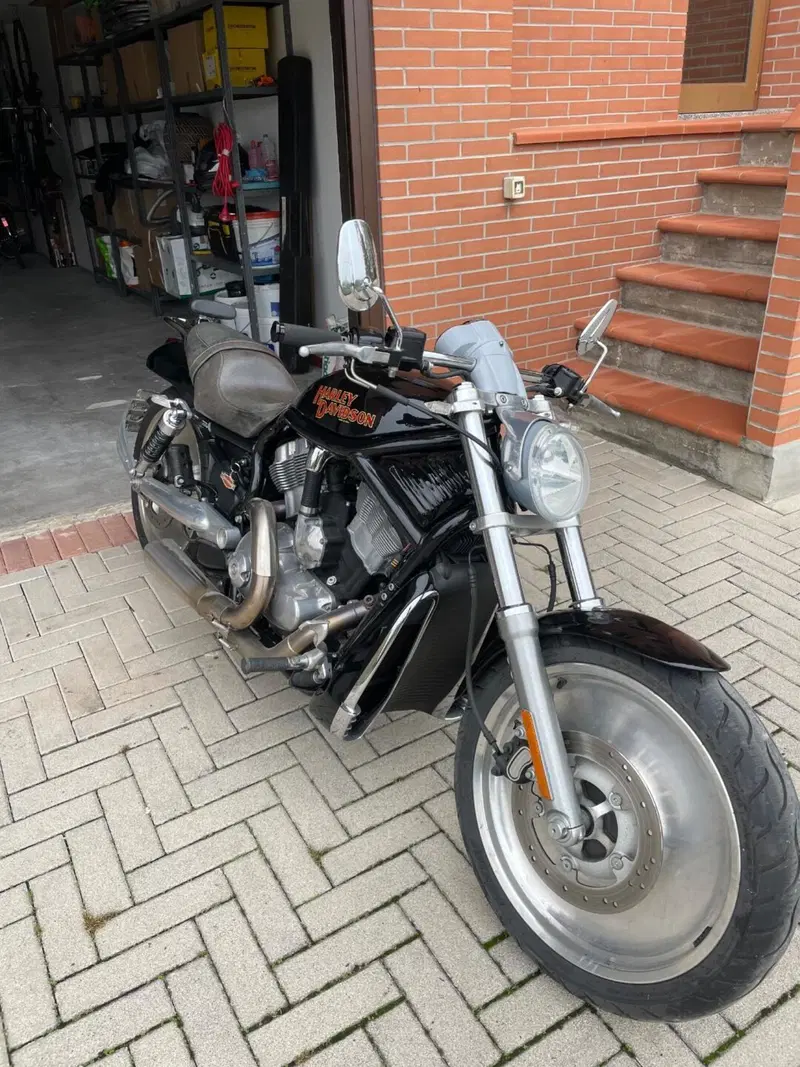 Harley-Davidson 1130 V-ROD (2002 - 05) - VRSCB (2)