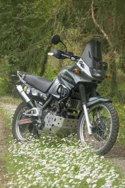 Accessori Kawasaki KLE 500 Goffi Workshop