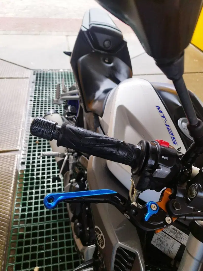 Yamaha MT-125 ABS (2015 - 16) (7)