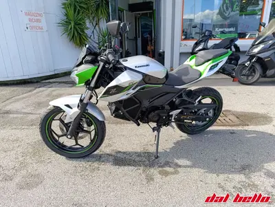 Kawasaki Z e-1 (2024 - 26) nuova