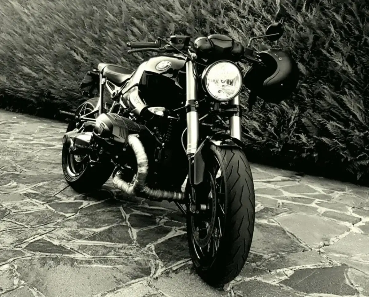 Bmw R nineT 1200 (2014 - 16) (5)