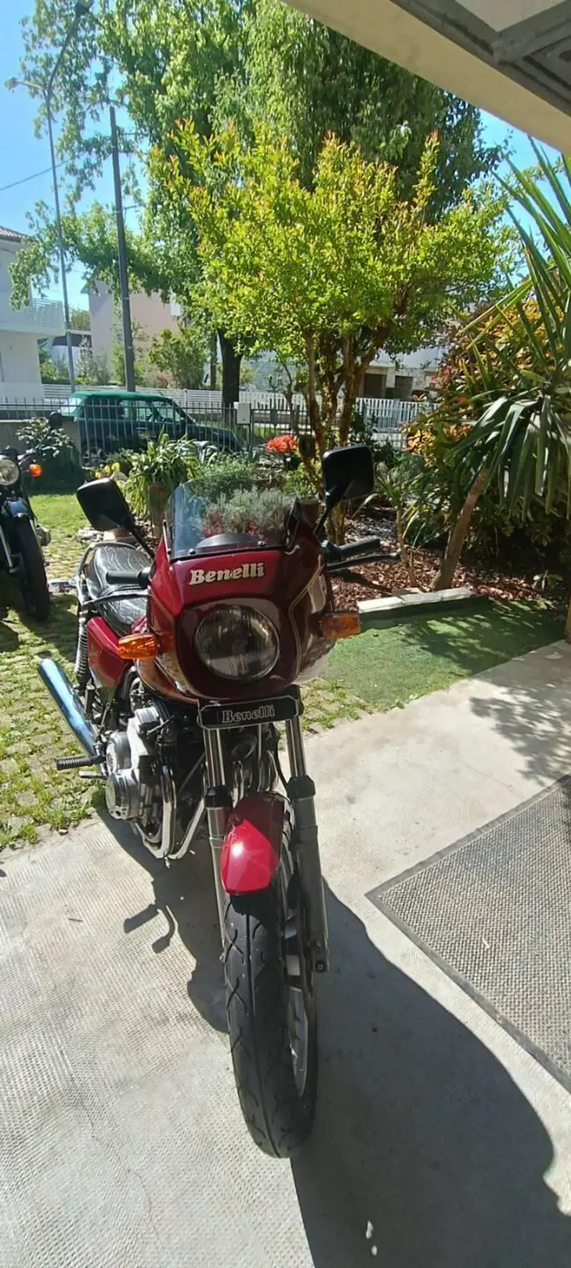 Benelli Turismo  (6)