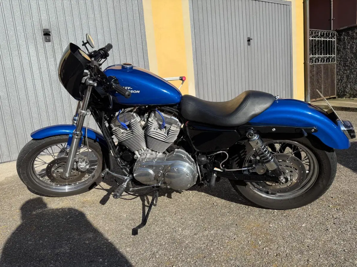 Harley-Davidson 883 (2008 - 09) - XL (2)