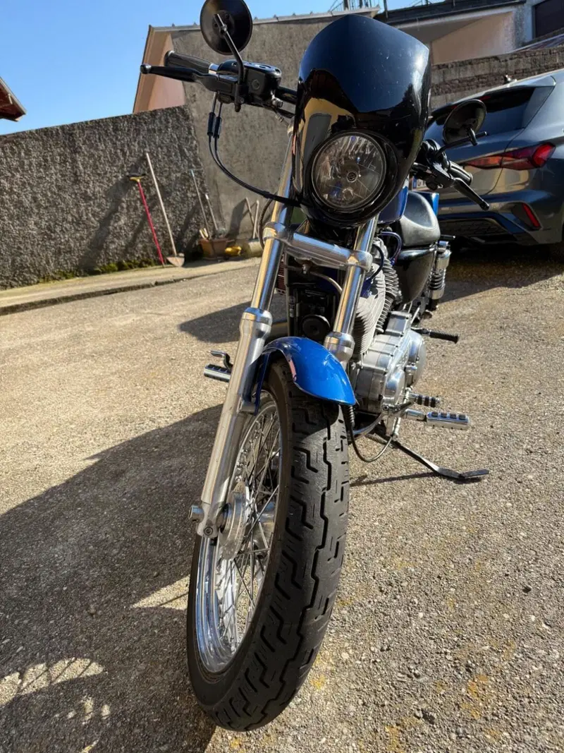 Harley-Davidson 883 (2008 - 09) - XL (3)