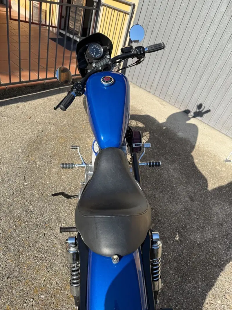 Harley-Davidson 883 (2008 - 09) - XL (5)