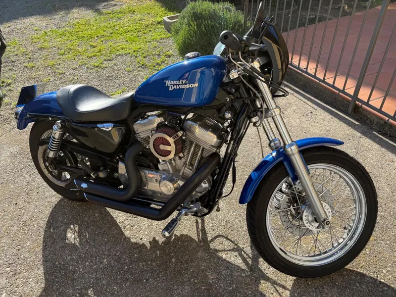 Harley-Davidson 883 (2008 - 09) - XL (6)