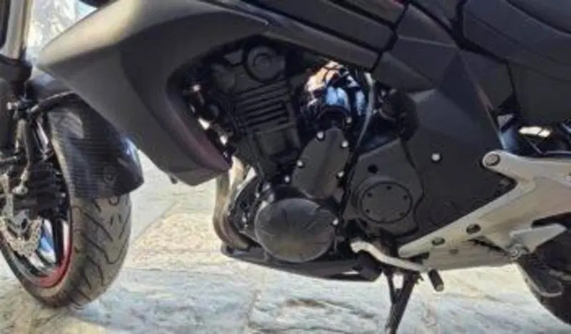 Kawasaki ER-6N ABS (2012 - 16) (5)