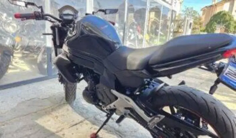 Kawasaki ER-6N ABS (2012 - 16) (9)
