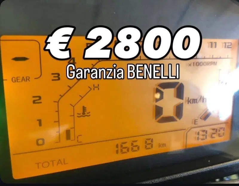 Benelli TRK 251 (2022 - 25) (2)
