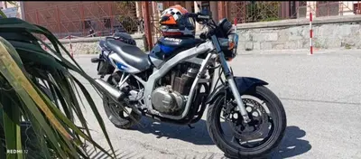 Suzuki GS 500 (2001 - 06) usata