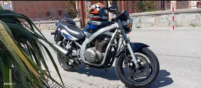Suzuki GS 500 (2001 - 06)