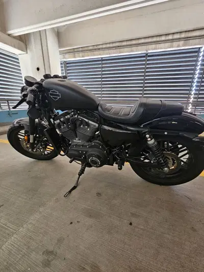 Harley-Davidson XL 1200 CX Roadster (2016 - 18) usata