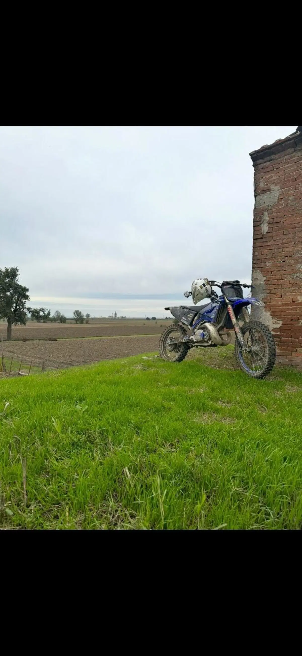 Yamaha YZ 250 (2019 - 20) (4)