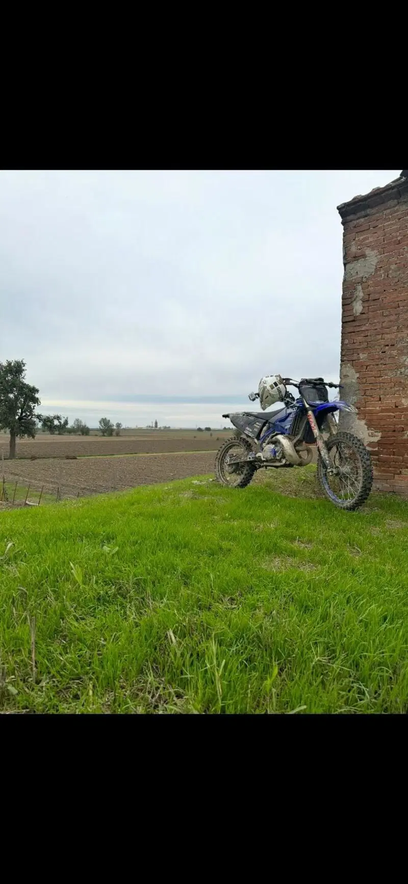 Yamaha YZ 250 (2019 - 20) (4)