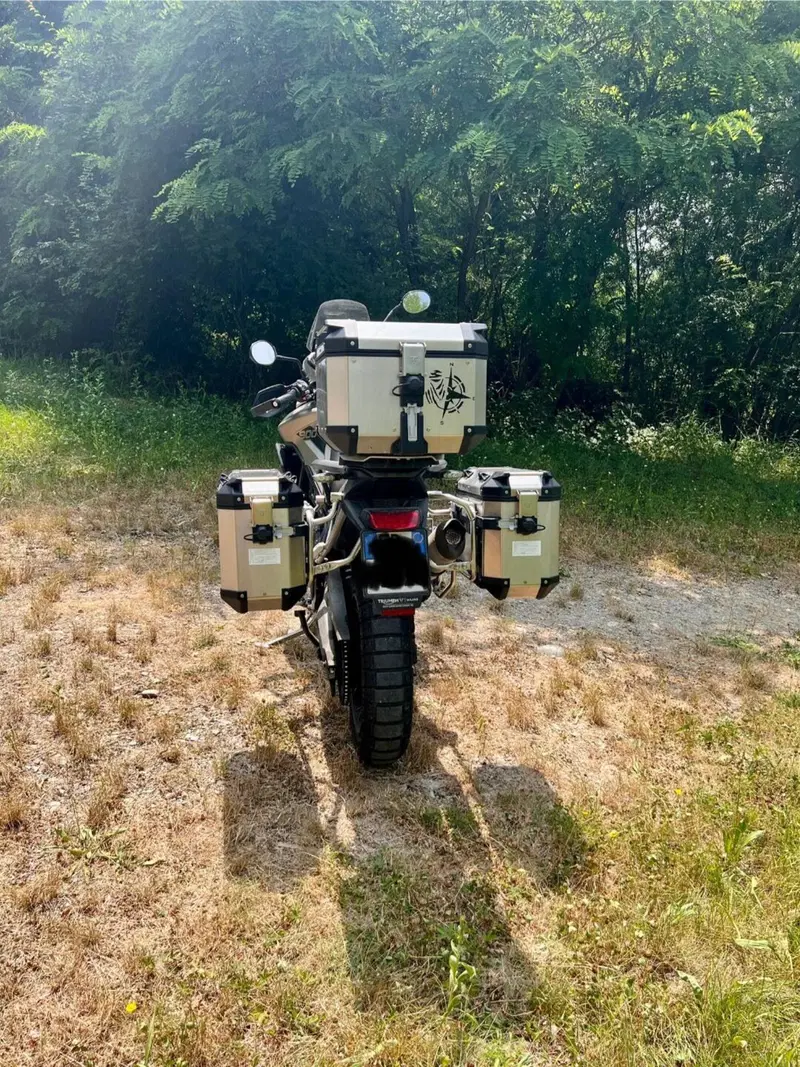 Triumph Tiger 900 Rally Pro (2024 - 26) (4)