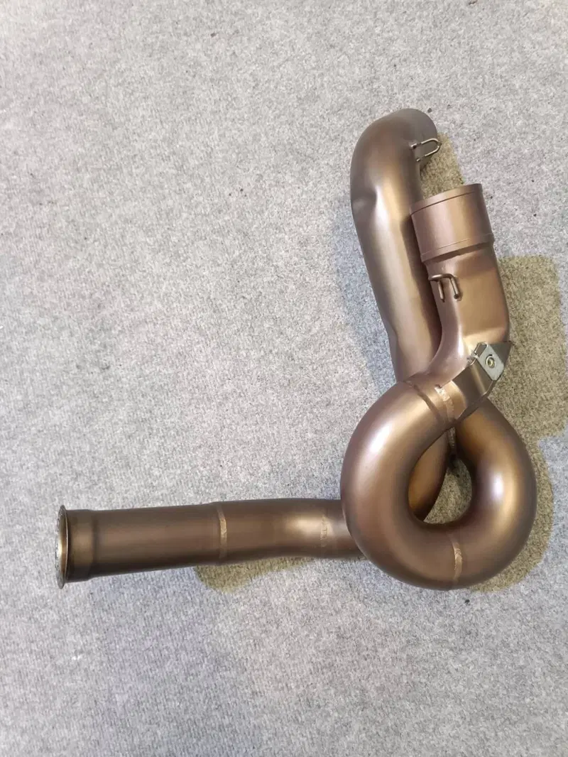 Scarico Termignoni + Voucher Mappa Panigale V2 202 (13)