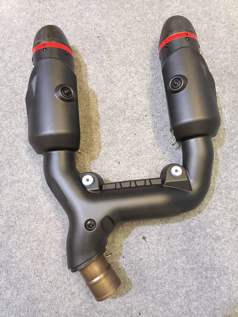 Scarico Termignoni + Voucher Mappa Panigale V2 202 (4)