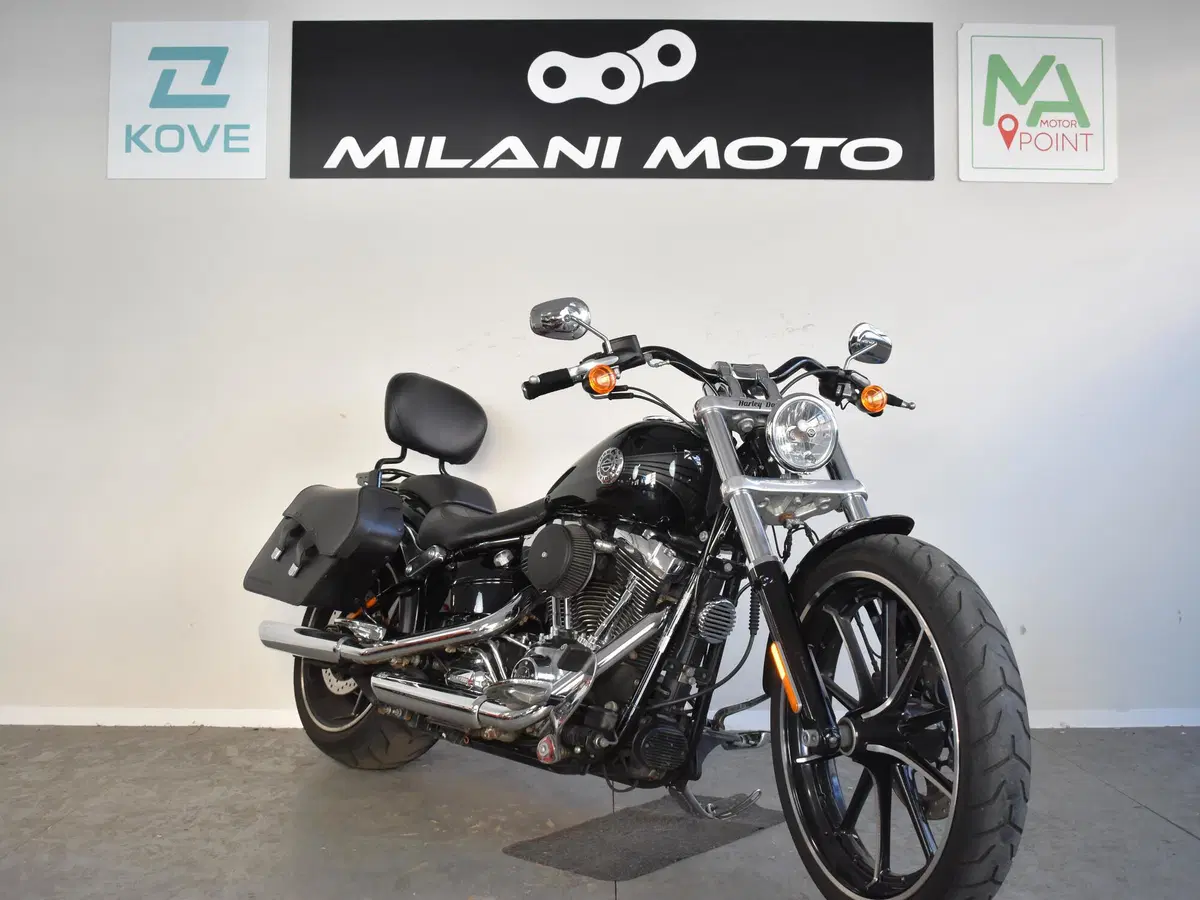 Harley-Davidson 1690 Breakout (2013 - 17) - FXSB (2)