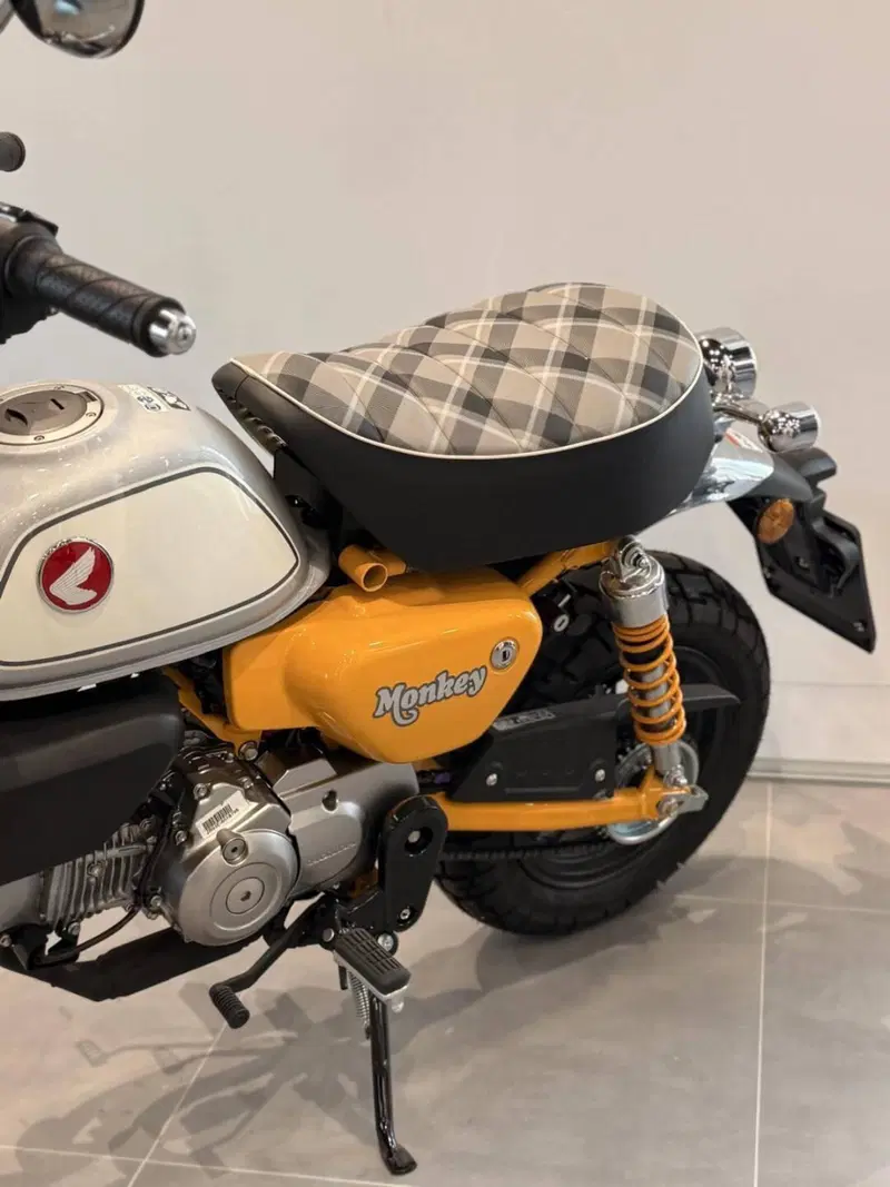 Honda Monkey 125 (2022 - 24) (6)