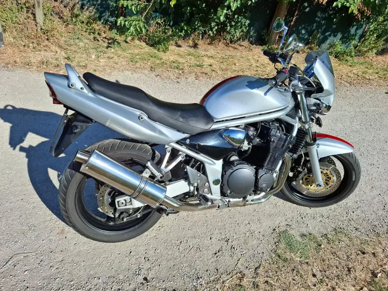 Suzuki GSF 1200 Bandit (2001 - 06) (3)