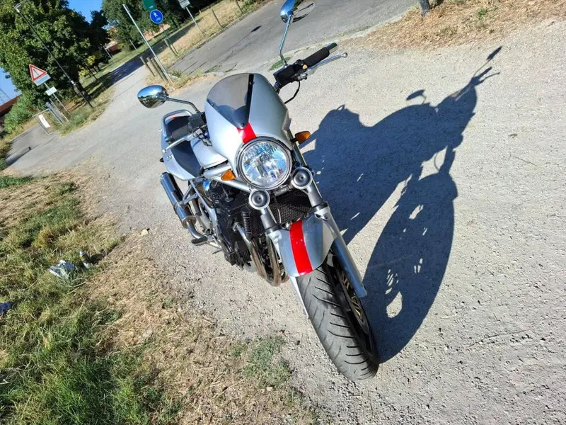 Suzuki GSF 1200 Bandit (2001 - 06) (4)