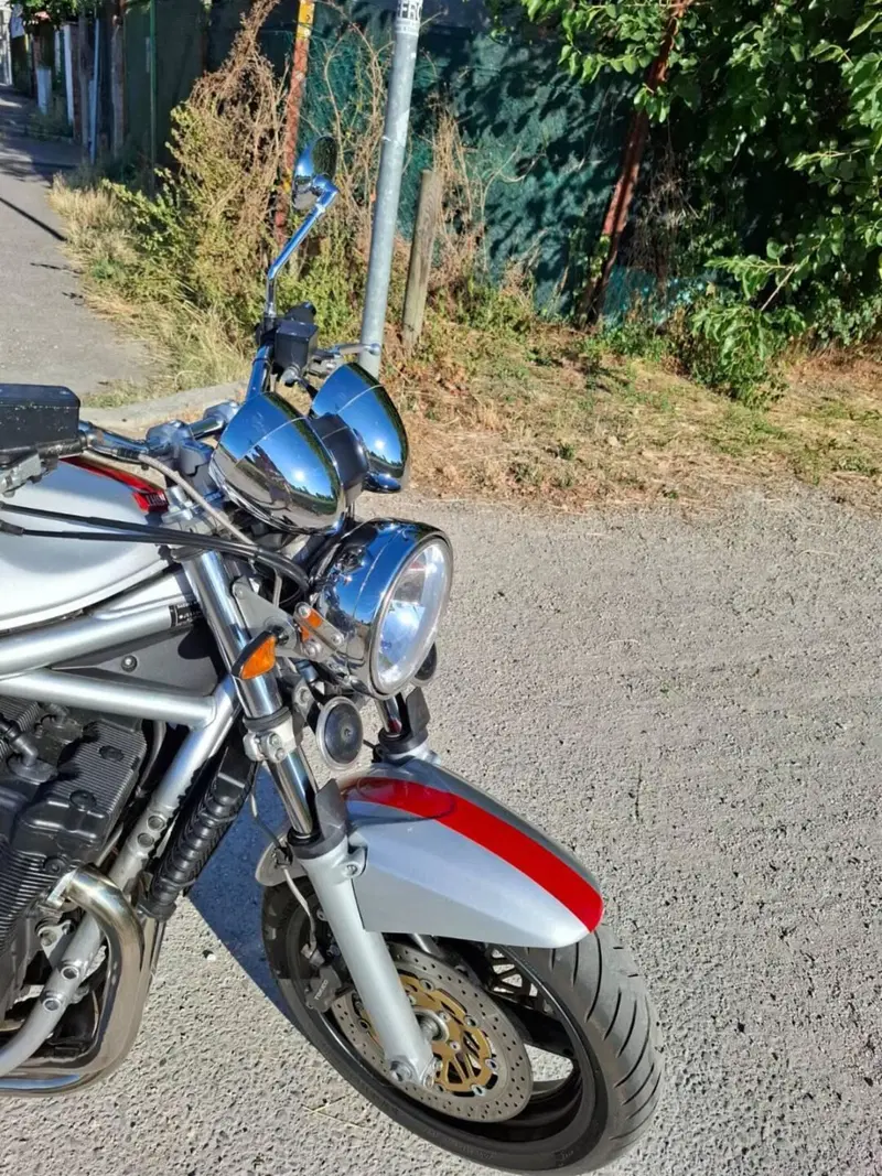 Suzuki GSF 1200 Bandit (2001 - 06) (8)