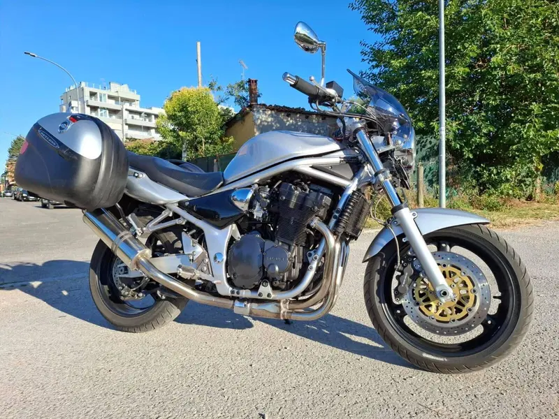 Suzuki GSF 1200 Bandit (2001 - 06) (12)
