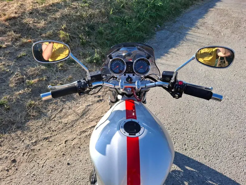 Suzuki GSF 1200 Bandit (2001 - 06) (14)