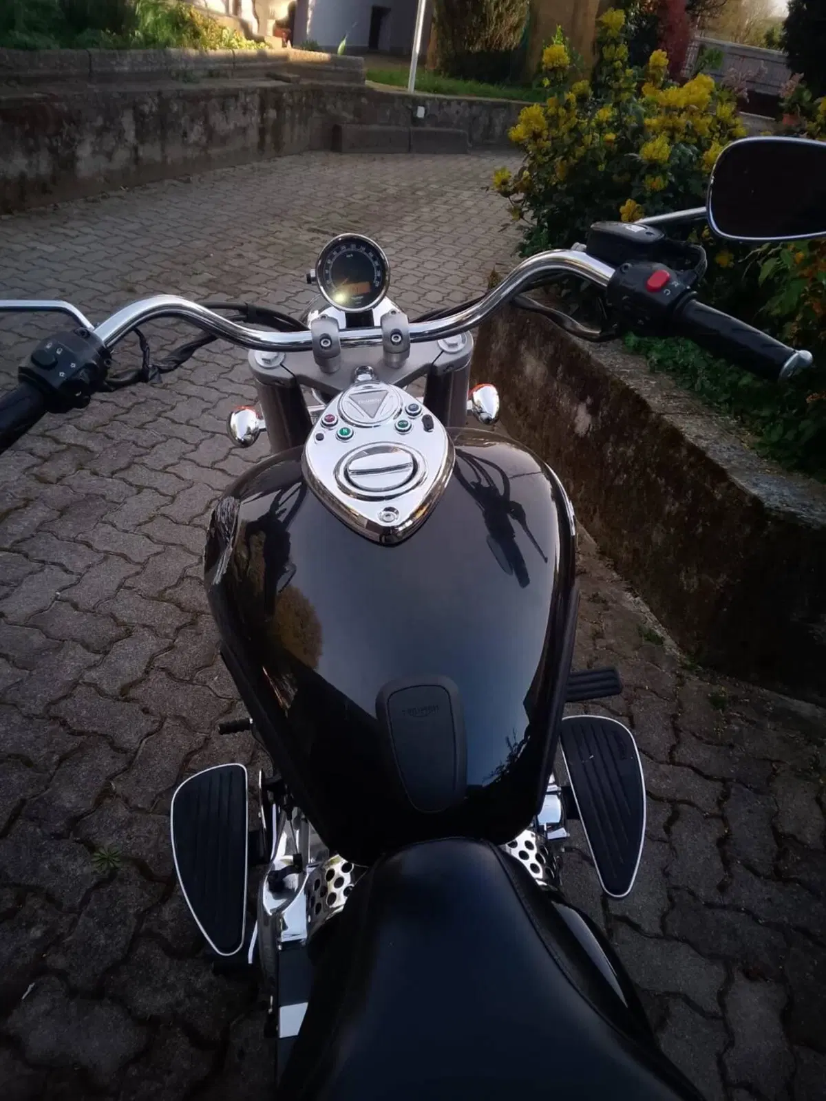 Triumph America (2011 - 16) (3)