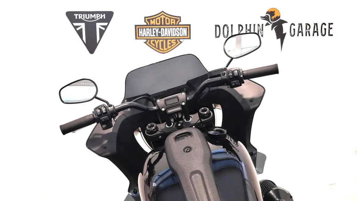 Harley-Davidson Low Rider ST (2022 - 24) (13)
