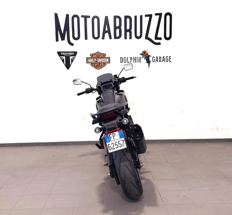 Harley-Davidson Pan America 1250 ST (2025 - 26) (11)