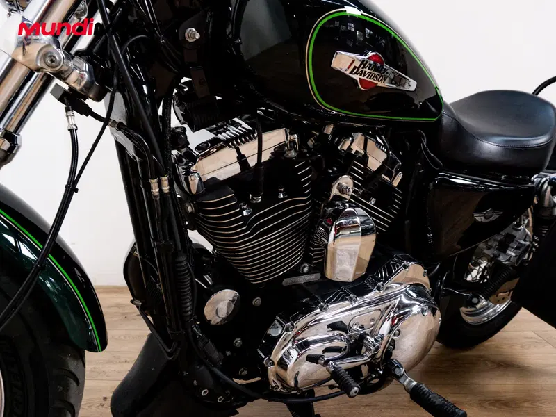 Harley-Davidson 1200 Custom ABS (2014 - 16) - XL 1200C (9)