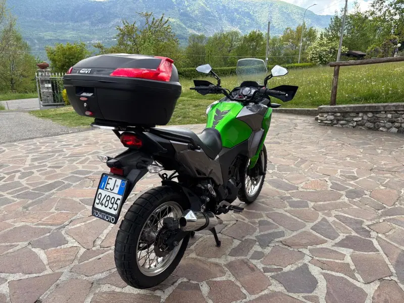 Kawasaki Versys-X 300 (2017 - 20) (2)