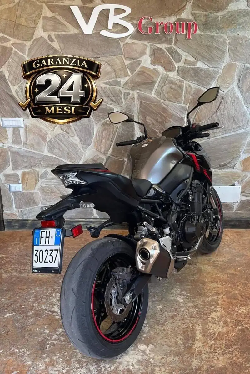 Kawasaki Z 900 (2021 - 24) (4)