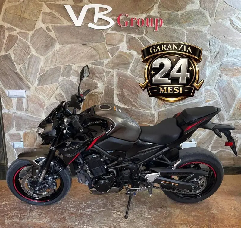 Kawasaki Z 900 (2021 - 24) (7)