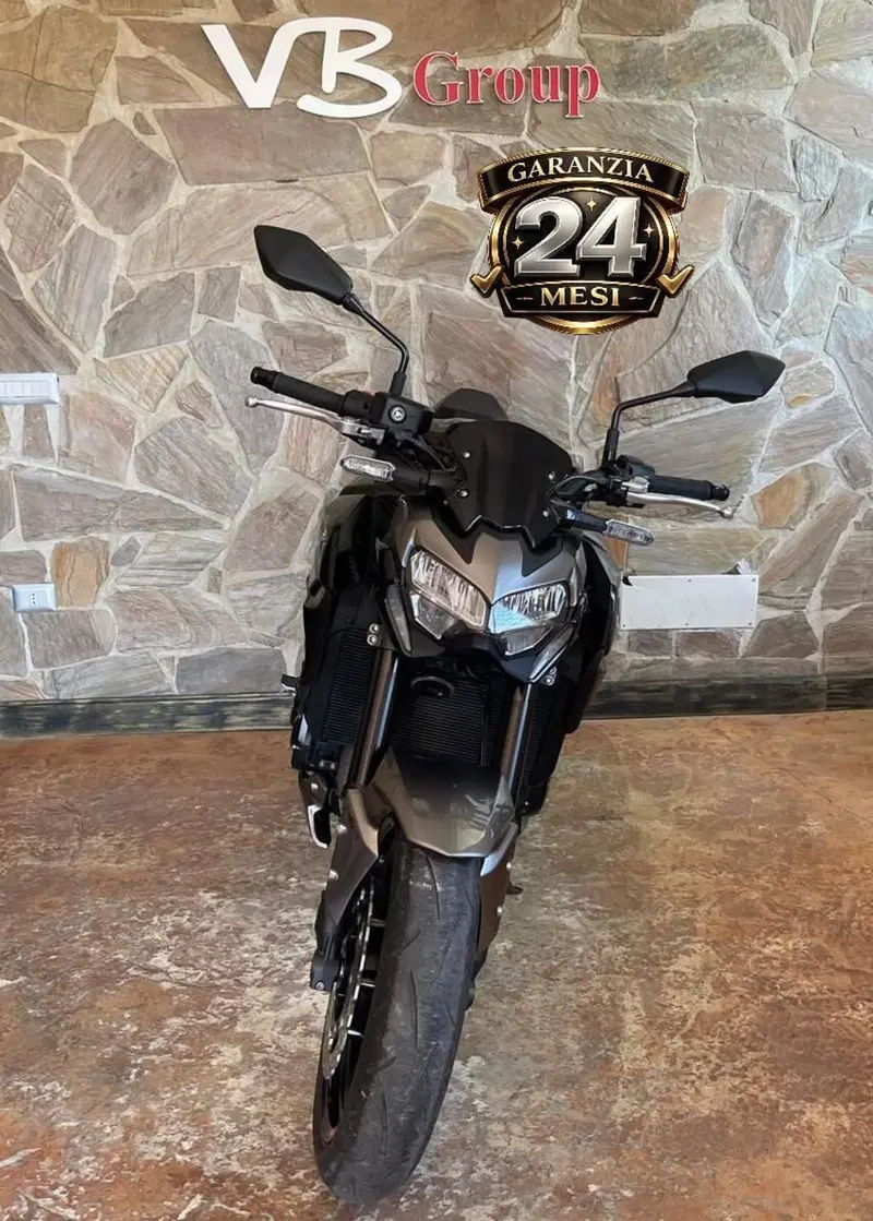 Kawasaki Z 900 (2021 - 24) (2)