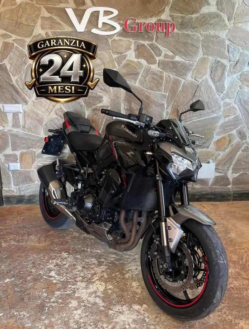 Kawasaki Z 900 (2021 - 24)