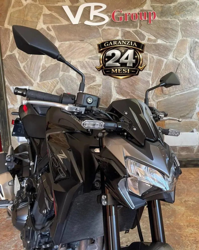 Kawasaki Z 900 (2021 - 24) (9)