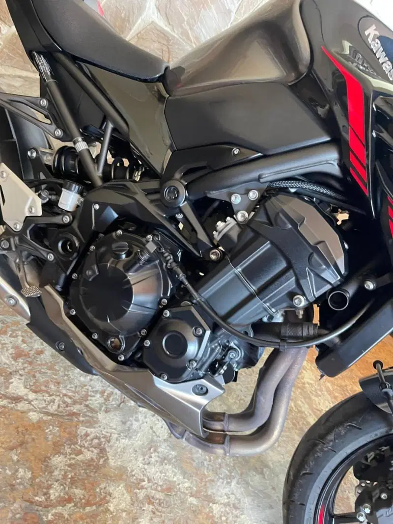 Kawasaki Z 900 (2021 - 24) (11)