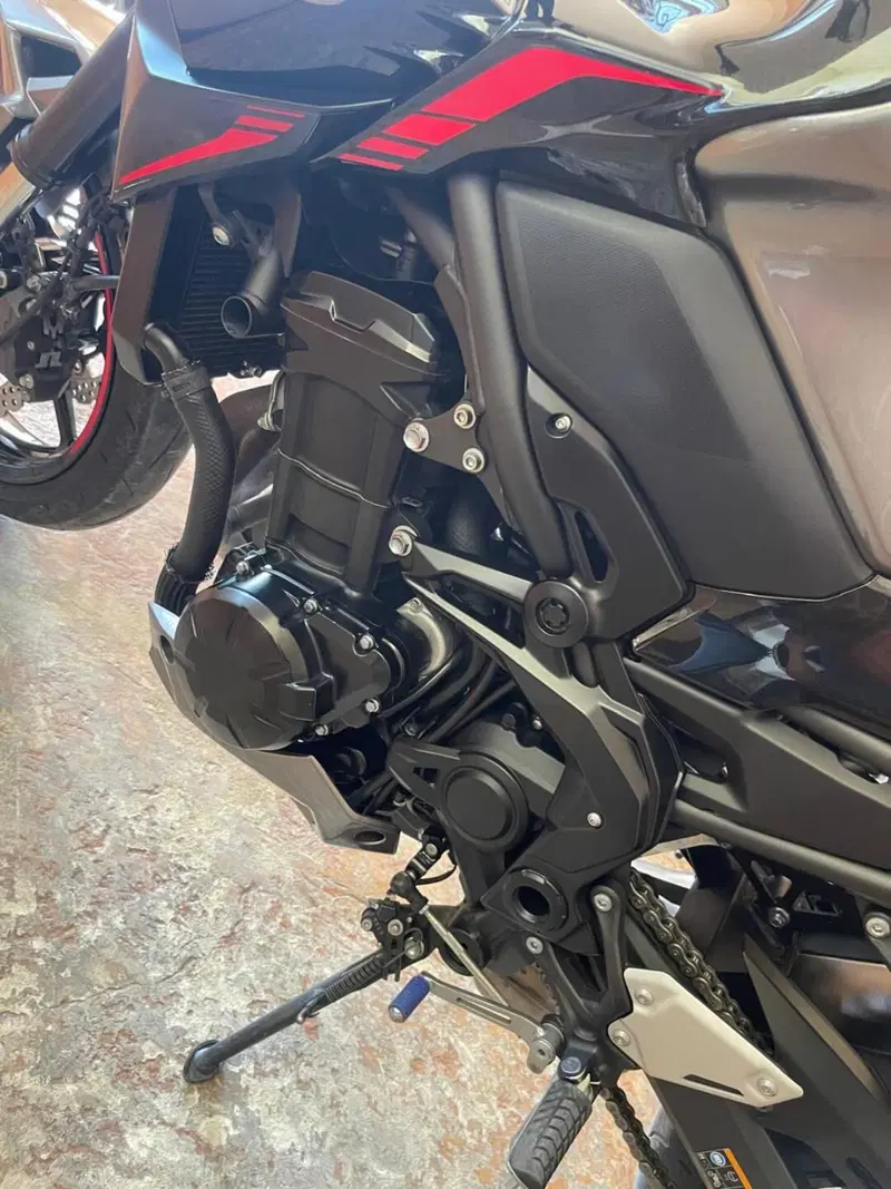 Kawasaki Z 900 (2021 - 24) (15)