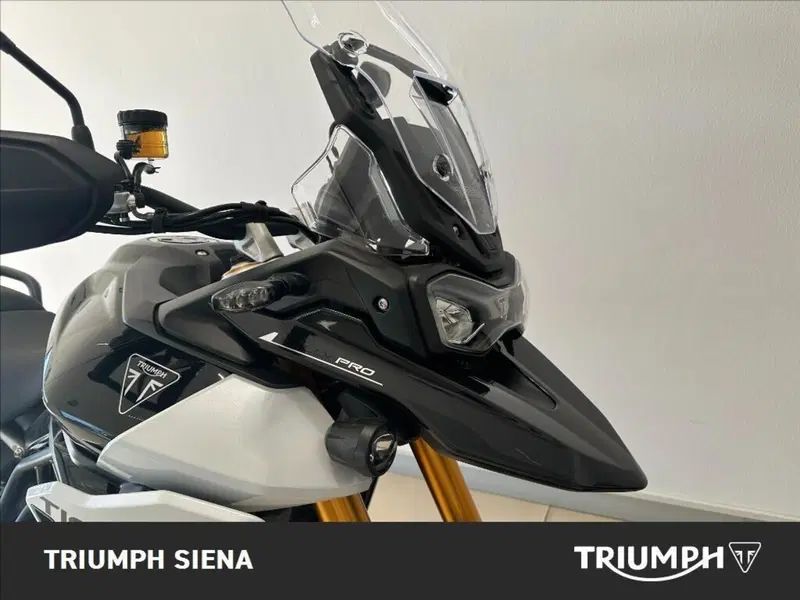 Triumph Tiger 900 Rally Pro (2020 - 23) (4)