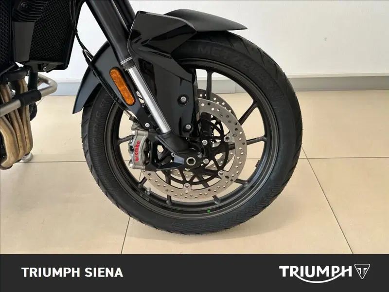 Triumph Tiger 900 Alpine Special Edition (2026) (3)