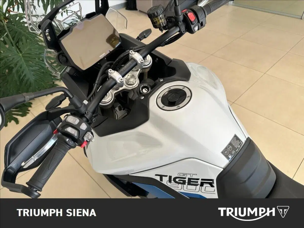Triumph Tiger 900 Alpine Special Edition (2026) (9)