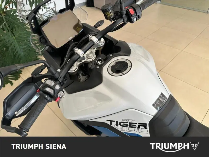 Triumph Tiger 900 Alpine Special Edition (2026) (9)