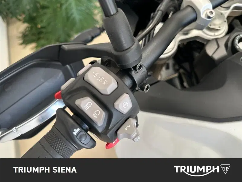 Triumph Tiger 900 Alpine Special Edition (2026) (10)