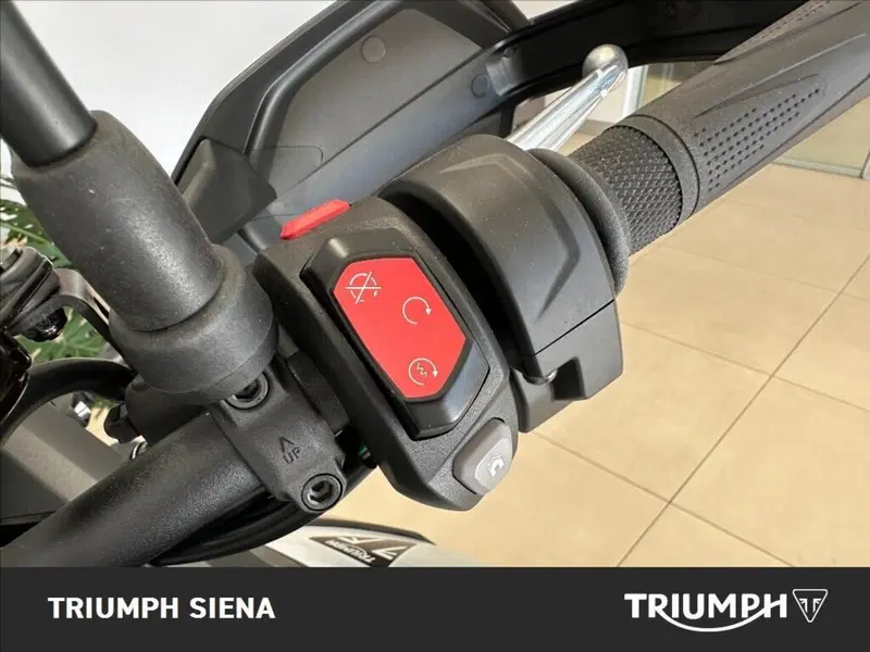 Triumph Tiger 900 Alpine Special Edition (2026) (11)
