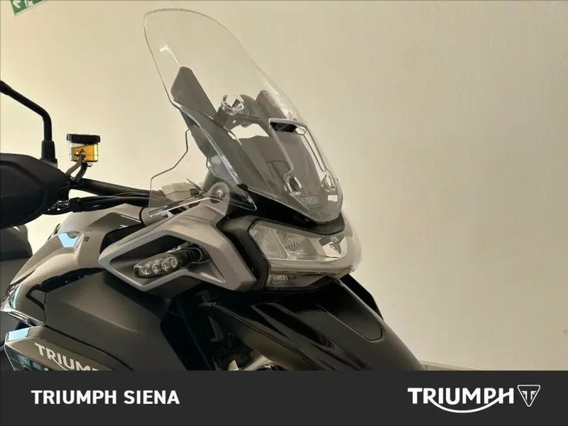 Triumph Tiger 1200 GT Pro (2024 - 26) (4)