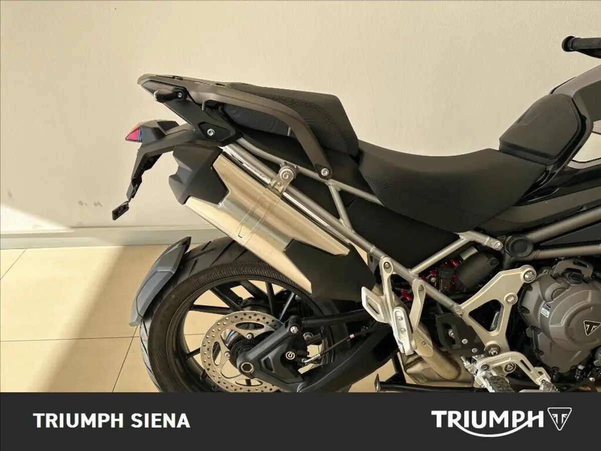 Triumph Tiger 1200 GT Pro (2024 - 26) (8)